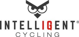 Intelligent Cycling Budde Schou