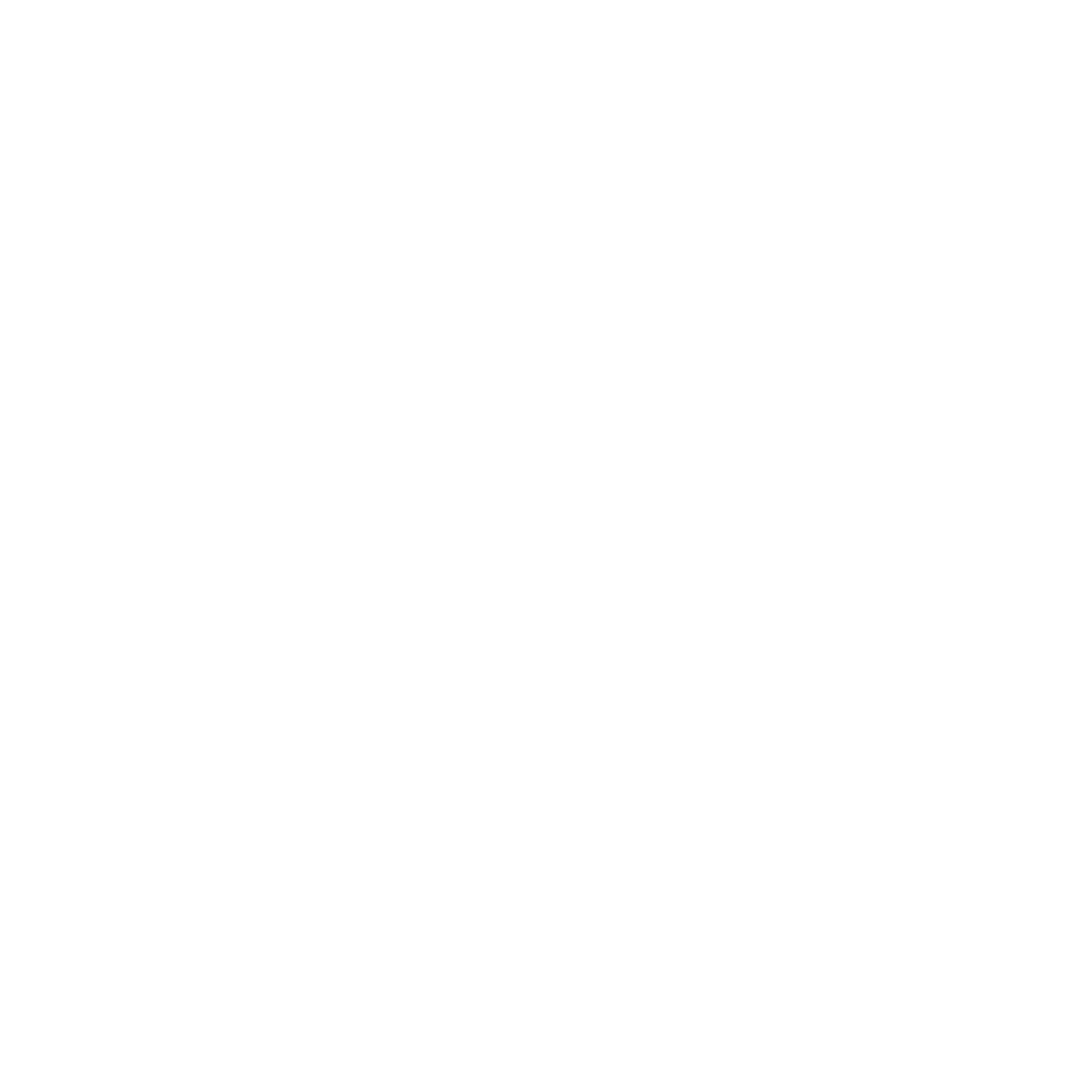 Budde Schou